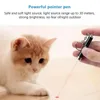 Cat Stick Toys Red Laser Pointer Pen Llavero con luz LED blanca Show Portable Infrared Stick Funny Cats Pet Toy al por mayor