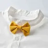 Set di abbigliamento per bambini per bambini Abiti per ragazzi Abiti per matrimonio Festa formale Camicia per bambini Pantaloncini con fiocco Cintura Bambini Capispalla per ragazzo AA220316