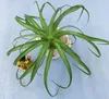 Dekorativa blommor kransar konstgjorda luftgräs Tillandsia Green Plant Mini Home Decoration PlasticDecorative