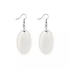 Blank Earrings Sublimation Acrylic Clear Earring Blanks Jewelry dangler with hooks for DIY Oval Shape