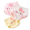 Mutandine Slip per bambini Ragazza Madre Bambini Pantaloncini Perizoma Simpatico cartone animato Cotone Ricco BuPanties Per confezione Alta qualità