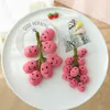 Simulazione Uva Peluche Ventosa Frutta Kawaii Farcito Portachiavi Car Decor Charms Room Decor Carino Regalo Di Compleanno Giocattoli Per Bambini LA404