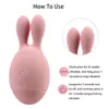 2 en 1 lapin vibrateurs mamelon vagin Massage Clitoris stimulateur femme masturbateur puissant langue lécher vibrateur