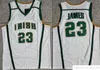 Сшитые мужские винтажные баскетбольные майки NCAA, средняя школа колледжа Сент-Винсент Мэри, ирландский № 23, Джерси Леброна, футболка Tune Squad Looney Monstars, футболки с ДНК Space Jam