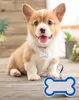 ID -kaart Thermische overdracht Dog Bone Doges Tag Tag Sublimatie Blanco Pendant Kleine cadeau Dogs IDS Tags Inventaris Groothandel