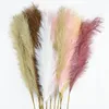 5Pcs Faux Pampas Grass Large 12010085cm Bouquet di fiori Falso Artificiale Pampas Erba Decor Alto Soffici Steli Soggiorno Decor 220815