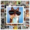 50 st cool Happy Friday Funny Cat Dog Whimsy Animal Graffiti Stickers för DIY Bagage Laptop Skateboard Motorcykelcykelklistermärken