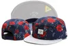 Cayler Sons feuille casquettes de Baseball Hip Hop chapeau en plein air Gorras Hiphop hommes Snapback chapeaux homme os réglable Style