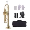 Студенческая труба Стандартный BB Brass Trumpet Wind Instrument с мундштуком для перемешивания перчатки для очистки ткани тюнер