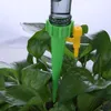 Système d'irrigation goutte-à-goutte automatique, pointe automatique pour plantes et fleurs, bouteille d'arrosage domestique d'intérieur, 1/12 pièces