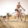 Dog Collars LEASHES BICYCLE EXECTERISER LEASHが簡単に設置するためのエクササイズを取り外して手を削除してください無料のペットバイクトレーニングジョギングサイクリング