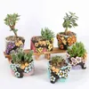 Strongwell Pot de fleur succulente peint à la main Pot de ciment ours créatif pour plantes vertes décoration de bureau à domicile planteur Artware YQ231018
