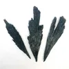 Decorative Objects & Figurines Natural Brazilian Feather Black Tourmaline Mineral Specimen Healing Crystal Home Decoration Original Energy Y