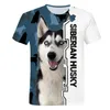 メンズTシャツ犬3D印刷サマー服外国ブランドカジュアルスタイル半袖2022