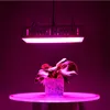 Lampka LED z LED 1500 W dla roślin wewnętrznych - lampa uprawna roślin pełnego spektrum do sadzonek, funkcja łańcucha stokrotka, duża moc, duży wentylator chłodzący, podwójny przełącznik Crestech888