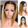 Ombre Renkli Brezilya Bakire İnsan Saç Perukları T Parça Dantel Peruk Kadınlar Kısa Düz Bob Wig 2022 Yeni Stil