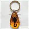 Diğer Sanatlar ve El Sanatları Yaratıcı Böcek Amber Keychain Araba Crystal Keying Dhzew