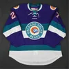 Nik1 Cusotm Vintage ECHL Orlando Solar Bears 27 Eric Faille 29 David Bell 3 Carl Hockey Jersey Stitched embroidered Any Name Your Number