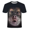 T-shirts hommes T-shirt drôle été 2022 haut de mode hommes et femmes à manches courtes impression 3D peau de mouton animal amusant pull à col rond Clothi