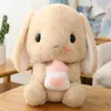 Toptan 22 cm Tavşan Peluş Oyuncak Kek Yıldız Çilek Havuç Sevimli Oyuncak Mağaza Çocuklar için Hediyeler Brithday