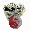 Cartoon female Korean velvet Rhinestone turtle Key Rings pendant cute Tai Chi yin and yang gossip shape bag tassel pendant keychain
