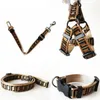 Web celebrity Tik Tok FF Luxury Dog Collars Leashes Set Designer Dog Leash Seat Belts Pet Collar and Pets Chain with for Small Med8979850