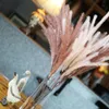 Dekoracyjne kwiaty wieńce 120 cm Bulrus naturalne suszone sztuczne rośliny gałąź pampas trawa phragmites Fałszywe kwiat Wedding Home Decoratio