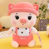 New sweetheart cute pig plush toy doll hat pig dolls pillow girl holiday gift