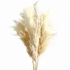 Flores decorativas grinaldas cor creme de 60 cm de pampa grama fofo seco decoração natural decoração bouquet boho sala de estar decoração giftDecorat