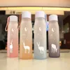 Water Bottles Sports Water Bottle Plastic Portable Drinking Cup Girl Leakproof Drop-proof Shaker Mug Travel for Outdoor560ml