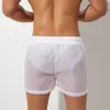 Summer Mens Shorts Sexy Semi-transparent Nylon Quick Dry Gymnases Casual Joggers Home Wear Hommes Bottoms 220318