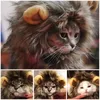 Costumi per gatti Gatos pelosi Jouet Chat Katten Speelgoed Cappello per animali domestici Costume Parrucca con criniera di leone per animali domestici di stoffa Halloween Fancy Dress Up con orecchie Casa