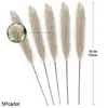 5 pcs 100 / 70cm artificial pampas grama ramalhete ano feriado festa de casamento casa decoração planta simulação seca flor reed 220406