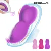 Invisible Adult sexy sexyual Clit Toy Wireless Remote Control Butterfly Wear Wearable Vibrating Panty Vibrator for Women Female Beauty Items