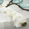 11heads polilla mariposa orquídea flor Phalaenopsis Decoración para el hogar Flores de seda falsas Planta de simulación