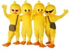 équipes mascotte costumes