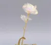 24K Lamina d'oro Fiore di rosa LED Galassia luminosa Festa della mamma Regalo di San Valentino Confezione regalo di moda FY4432 bb1201