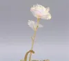 24k folha de ouro rosa flor led luminosa galáxia dia das mães presente do dia dos namorados caixa de presente moda fy4432 bb1201