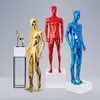 Nieuwe aankomst Men Mannequin Fiberglass Male Full Body Model Fashionnelbare Customized Factory Direct Sell