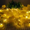 Guirlandes Ginkgo Biloba LED Lumières USB/Batterie PVC Haute Flexibilité Etanche Les Feuilles de la Maison Normalement Sur Blanc Chaud Flash StringLED StringsL