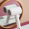 Home Hair Dryer Portable Negative Lon Blower Quick Dry Low Noise Dryer For Traveling Household Salon Tools