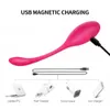 Articoli di bellezza Mutandine Vibratori a vibrazione vaginale per le donne Wireless Remote Bullet G Spot Clit Stimolatore Ben Wa Kegel Balls Negozio di giocattoli sexy