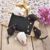 Mouse Real Fur Mix Loaded Toy Pet Cat with Sound Simulation Plush Mouse Toys Inventory Wholesale