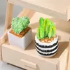 Fiori decorativi ghirlande fai -da -te mini muschio terrario decorazione simulazione pianta in vaso per casa
