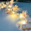 Luces de cuerda de flores LED frangipani alimentadas por el evento de iluminaci￳n de vacaciones de la bater￭a Garland Decorated Stringsled