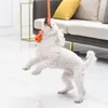 ألعاب Pet Dogs Toys غير القابلة للتدمير مع كرات لعبة مع ألعاب تفاعلية للسلسلة لجرو الكلب الكبير الجرو المطاط الصلب الكرة بالجملة