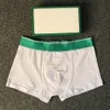 french underwear sizes