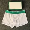 briefs français