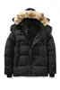 Men Winter jacket designer Down Parka Homme Jassen Chaquetas Chaqueton Outerwear Wolf Fur Hooded Manteau Wyndham woolrich