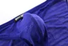 アンダーパンツ人の男性セクシーなレース透明な下着ビキニブリーフジャックヤードパンティーb1124underpants